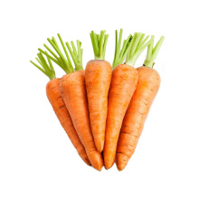 2021 vegetable seeds Fresh Carrot 10kg carton M size for Maldives not Vietnam carrot